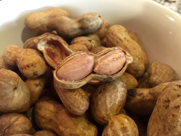I sure do love me some boiled peanuts.